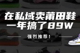 （12370期）24年在私域卖莆田鞋，一年搞了89W，强烈推荐！