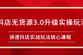 （2276期）雷子抖店无货源3.0升级实操玩法：讲透抖店实战玩法核心课程