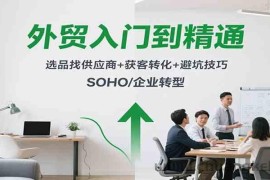 外贸入门到精通，选品找供应商+获客转化+避坑技巧，SOHO/企业转型