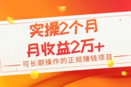 （1979期）实操2个月，月收益2万+，可长期操作的正规赚钱项目