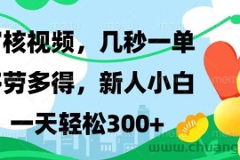 （13719期）视频审核，新手可做，多劳多得，新人小白一天轻松300+