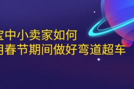 （1646期）淘宝中小卖家如何利用春节期间做好弯道超车，如何做到月销售额20W+