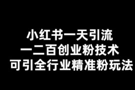 （5819期）【引流必备】小红书一天引流一二百创业粉技术，可引全行业精准粉玩法