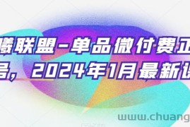 臻曦联盟-单品微付费正价起号，2024年1月最新课程