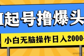 （11008期）AI起号撸爆头条，小白也能操作，日入2000+