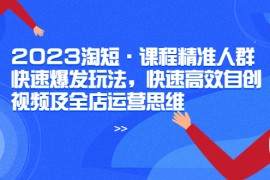 （6045期）2023淘短·课程精准人群快速爆发玩法，快速高效自创视频及全店运营思维