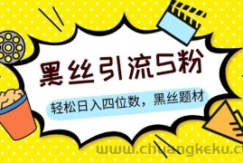 S粉变现，轻松日入四位数，黑丝题材+情感话术【揭秘】