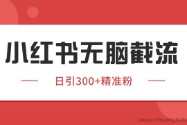 小红书截流同行客源，独家野路子获客玩法 日引200+暴力获客
