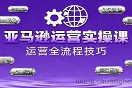 亚马逊运营实操课，选品策略，选品重点、广告最新打法、大促细节优化等（更新10月）