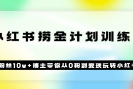 《小红书捞金计划训练营》粉丝10w+博主带你从0粉到变现玩转小红书（72节课)