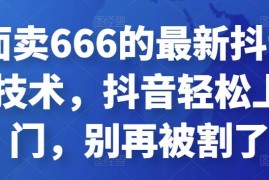 外面卖666的最新抖音连怼技术，抖音轻松上热门，别再被割了