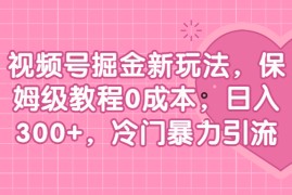 （6802期）视频号掘金新玩法，保姆级教程0成本，日入300+，冷门暴力引流