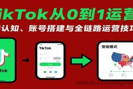 TikTok从0到1运营课：基础认知、账号搭建与全链路运营技巧