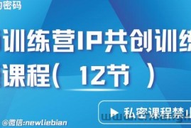 导师训练营3.0IP共创训练营私密实操课程（12节）-卖项目的密码成功秘诀【揭秘】