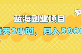 （1953期）蓝海副业项目，每天2小时，月入5000，附详细操作流程