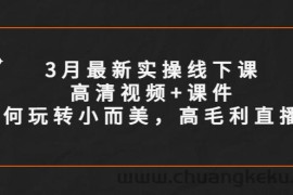 （5597期）3月最新实操线下课高清视频+课件，如何玩转小而美，高毛利直播间