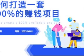 （6379期）最新6月份《如何设计一套100%赚钱的项目系统》