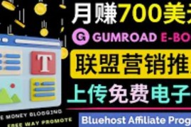 通过虚拟商品交易平台Gumroad，发布免费电子书，并推广自己的联盟营销链接赚钱