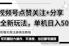 （12015期）抖音视频号最新玩法,一键运行，点赞关注+分享，单机日入50+可多号运行…