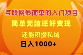 （11922期）互联网最简单的入门项目：简单无脑变现还能积攒私域一天轻松1000+