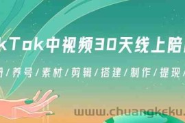 TikTok中视频30天线上陪跑班：注册/养号/素材/剪辑/搭建/制作/提现/等等