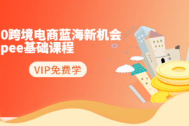 （1400期）2020跨境电商蓝海新机会-shopee基础课程：简单粗暴日报爆千单（27节课）