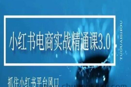 小红书电商实战精通课3.0，抓住小红书平台的风口，不错过有一个赚钱的机会