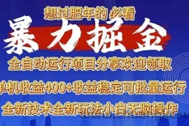 （13675期）2025暴力掘金项目，想过肥年必看！