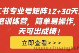 小红书专业号矩阵12+30天引流陪跑训练营，简单易操作，15天可出成绩!