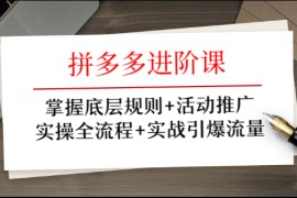 （1297期）拼多多进阶课 掌握底层规则+活动推广+实操全流程+实战引爆流量