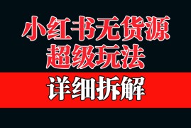 （6621期）做小红书无货源，靠这个品日入1000保姆级教学