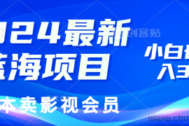 （11894期）2024最新蓝海项目，0成本卖影视会员，小白也能日入3位数