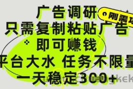 广告调研项目，只需复制粘贴广告即可挣钱，平台大水，任务不限量，一天3张【揭秘】