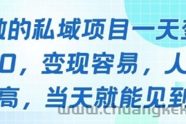 好做的私域项目一天变现1k+，变现容易，人群占比高，当天就能见到钱