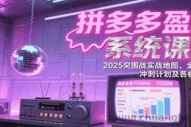 拼多多盈利系统课程：2025突围战实战地图、全新玩法、冲刺计划及各板块技巧