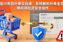 （16239期）淘宝小类目补单实战课：系统解析补单全流程、降权风险及安全操作