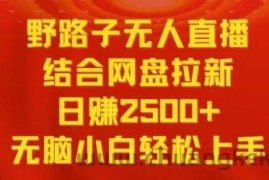 野路子无人直播结合网盘拉新，日赚2500+，小白无脑轻松上手【揭秘】