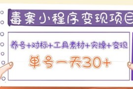 森罗万项毒案小程序变现项目：养号+对标+工具素材+实操+变现，单号一天30+