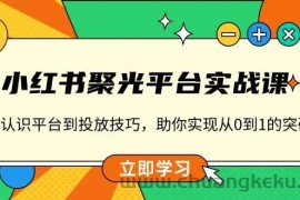 （13775期）小红书 聚光平台实战课，从认识平台到投放技巧，助你实现从0到1的突破