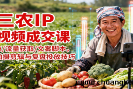 三农IP短视频成交课：定位/流量获取/文案脚本，掌握拍摄剪辑与复盘投放技巧