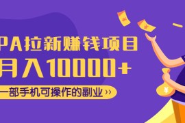 （4514期）CPA拉新赚钱项目，月入10000+一部手机可操作的副业！