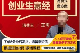 王岑·低成本创业生意经，从8个点深度剖析低成本成功案例，让广大创业者不再迷茫