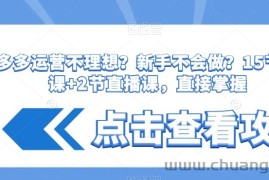 拼多多运营不理想？新手不会做？​15节系列课+2节直播课，直接掌握