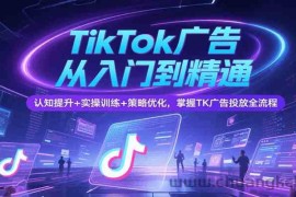 TikTok广告从入门到精通，认知提升+实操训练+策略优化，掌握TK广告投放全流程