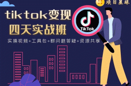 （1708期）tiktok变现四天实战班：连怼技术+矩阵玩法赚,单账号月入2000美金(实操视频)