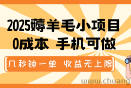 2025薅羊毛小项目，0成本 手机可做，几秒钟一单，收益无上限