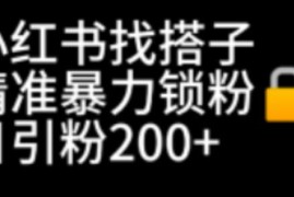 （6807期）小红书找搭子暴力精准锁粉+引流日引200+精准粉