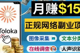 （3711期）正规网络副业赚钱平台Toloka，利用业余时间月赚150美元