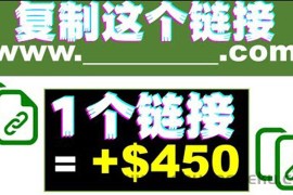 （3607期）复制链接赚美元，一个链接可赚450+，利用链接点击即可赚钱的项目(视频教程)