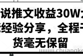 小说推文收益30W大佬经验分享，全程干货毫无保留